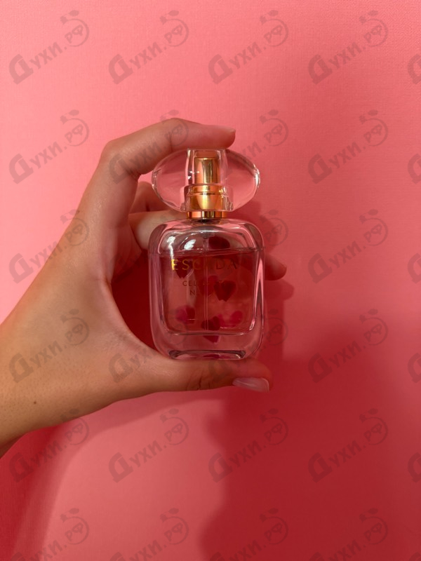 Парфюмерия Celebrate N.o.w. от Escada