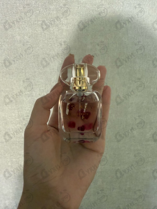 Купить Escada Celebrate N.o.w.