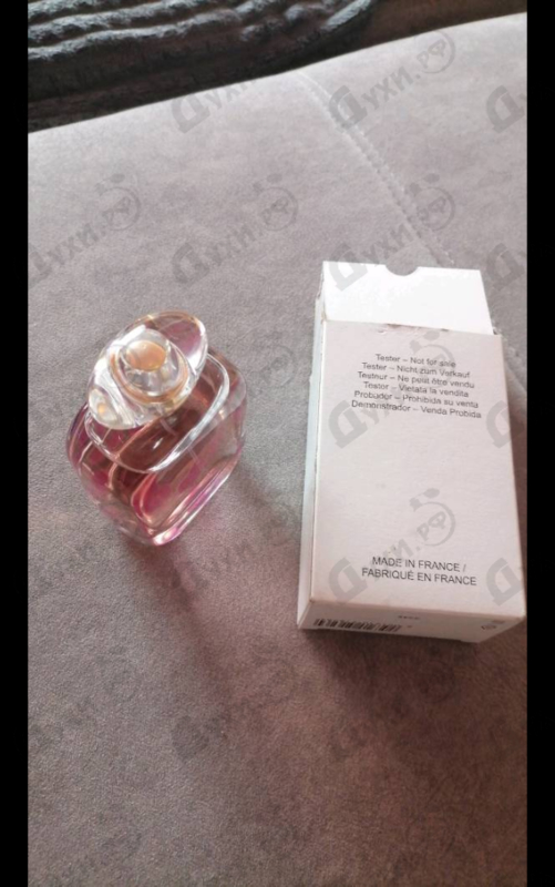 Парфюмерия Escada Celebrate N.o.w.