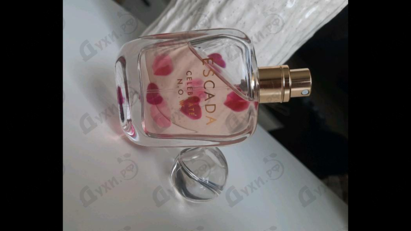 Купить Escada Celebrate N.o.w.