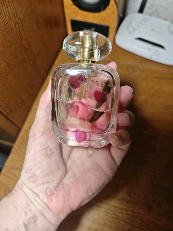 Купить Celebrate N.o.w. от Escada