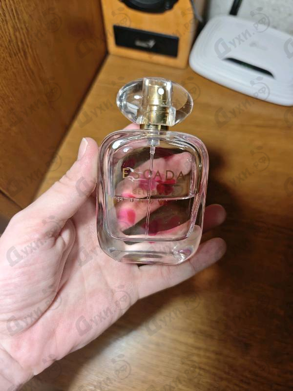 Парфюмерия Celebrate N.o.w. от Escada