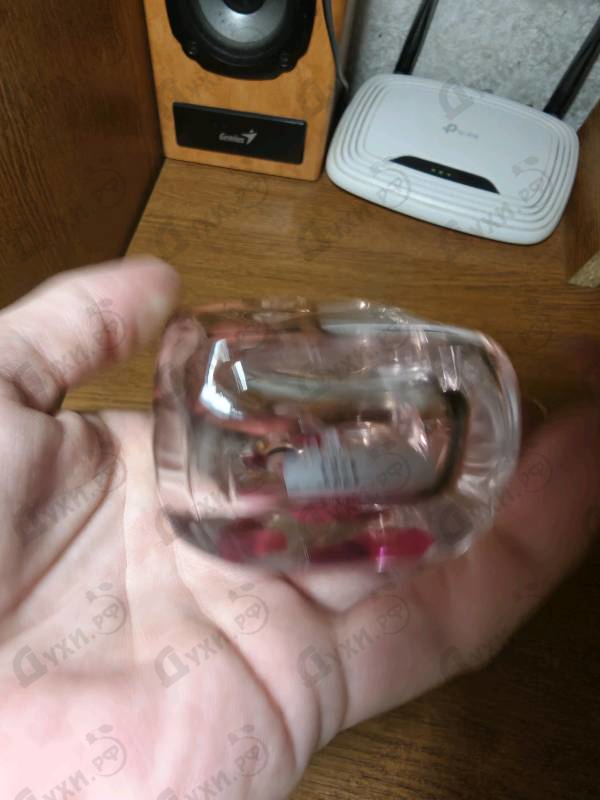 Купить Escada Celebrate N.o.w.