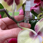 Отзыв Kilian Woman In Gold