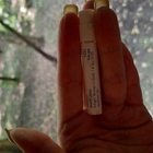 Духи Woman In Gold от Kilian