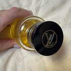 Отзывы Louis Vuitton Apogee