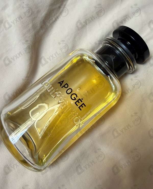 Купить Apogee от Louis Vuitton