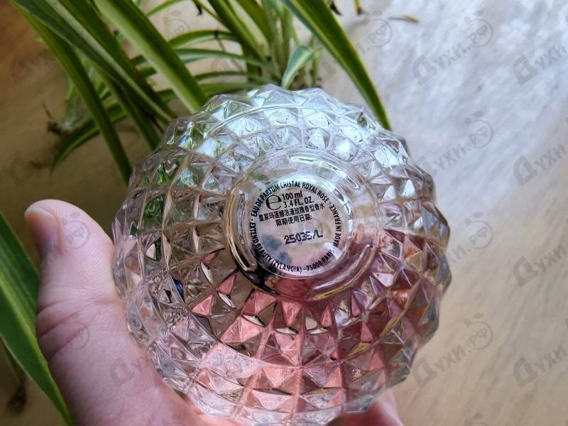 Парфюмерия Cristal Royal Rose от Marina De Bourbon