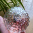 Парфюмерия Cristal Royal Rose от Marina De Bourbon
