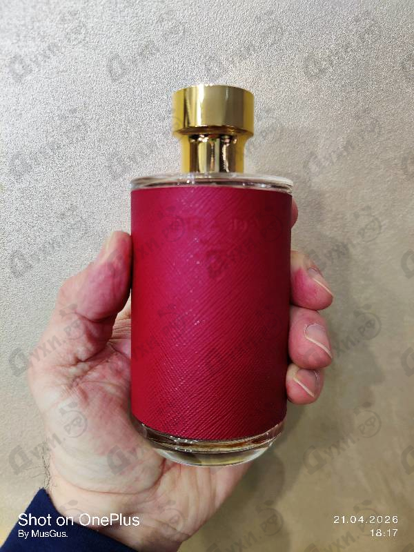 Отзывы Prada Prada La Femme Intense