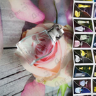 Духи Instincts от Rasasi