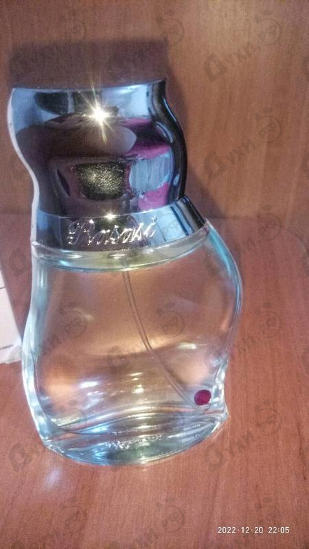 Купить Instincts от Rasasi