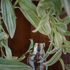 Духи Instincts от Rasasi