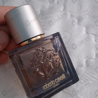 Отзыв Roberto Cavalli Uomo Silver Essence
