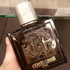 Отзыв Roberto Cavalli Uomo Silver Essence