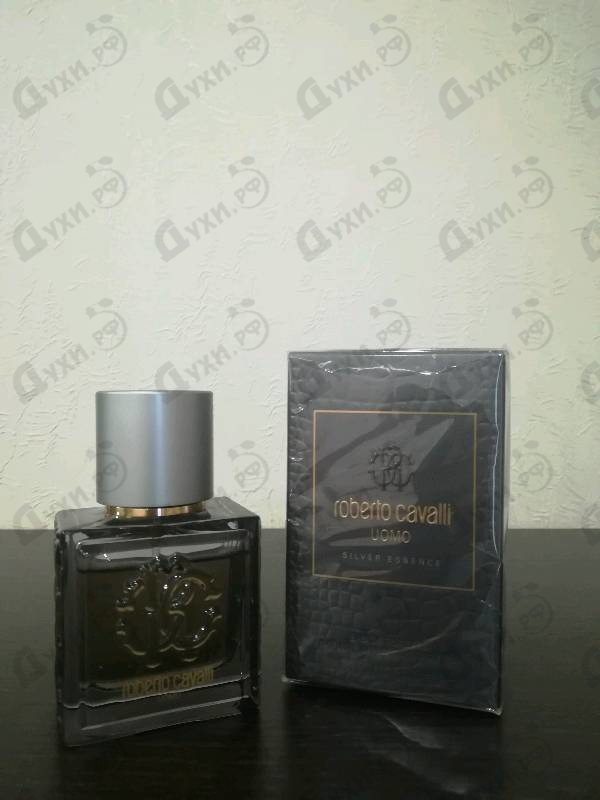 Отзыв Roberto Cavalli Uomo Silver Essence