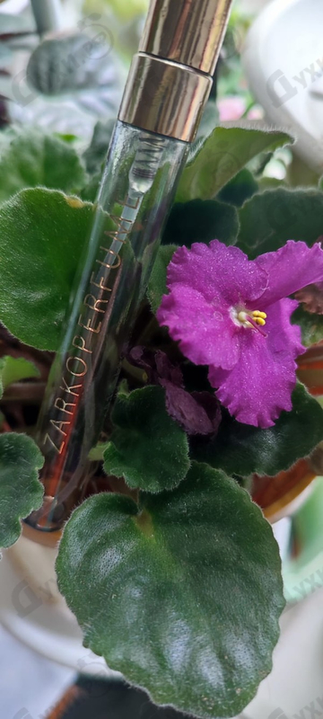 Парфюмерия Zarkoperfume Menage A Trois