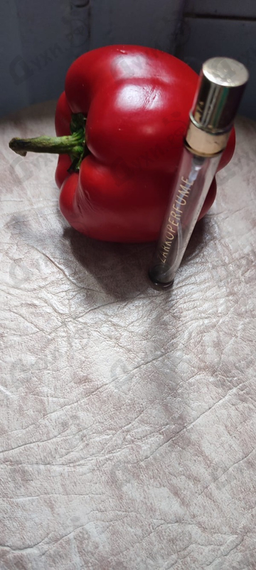 Купить Menage A Trois от Zarkoperfume