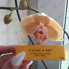Парфюм Vilhelm Parfumerie A Lilac A Day