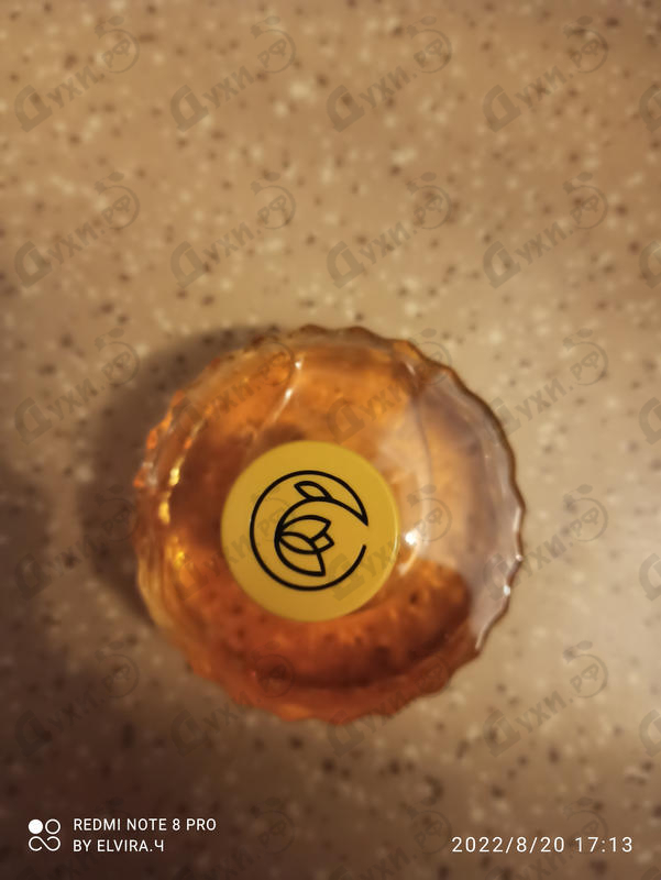 Парфюмерия A Lilac A Day от Vilhelm Parfumerie Отзыв Vilhelm Parfumerie A Lilac A Day