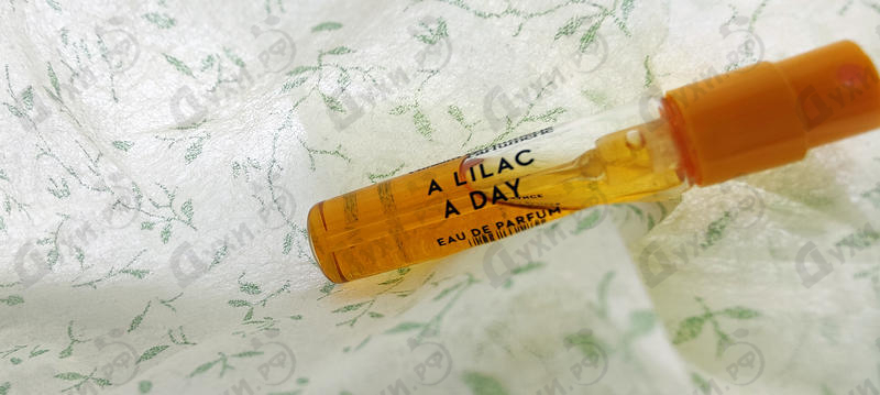 Духи A Lilac A Day от Vilhelm Parfumerie Купить Vilhelm Parfumerie A Lilac A Day