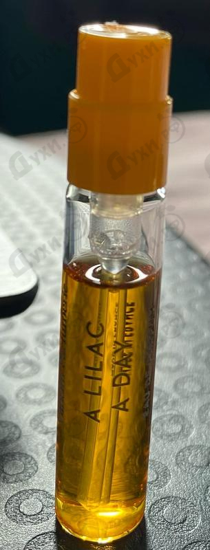 Купить Vilhelm Parfumerie A Lilac A Day Духи A Lilac A Day от Vilhelm Parfumerie