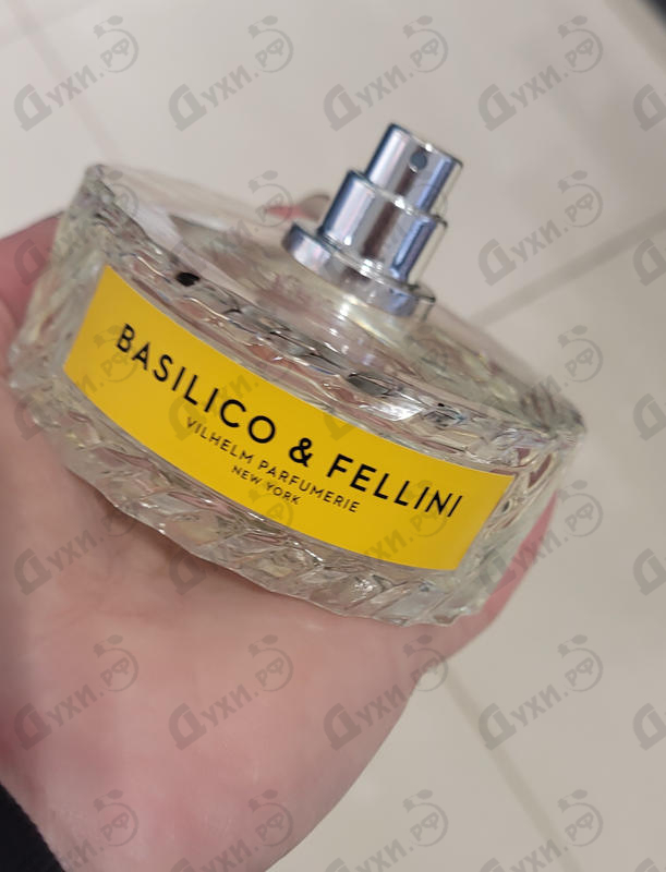 Купить Basilico & Fellini от Vilhelm Parfumerie