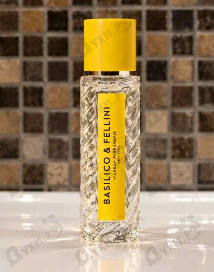 Купить Basilico & Fellini от Vilhelm Parfumerie