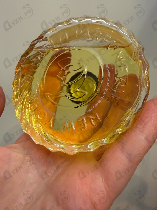 Купить Basilico & Fellini от Vilhelm Parfumerie