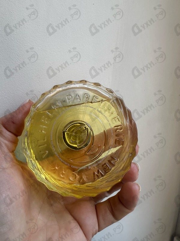 Духи Basilico & Fellini от Vilhelm Parfumerie