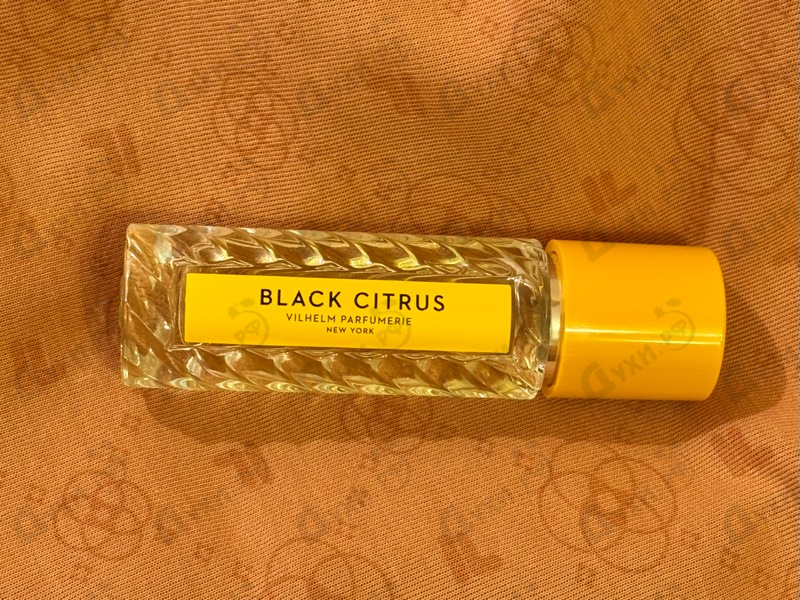 Отзывы Vilhelm Parfumerie Black Citrus