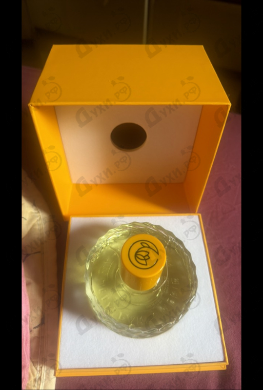 Парфюмерия Dear Polly от Vilhelm Parfumerie