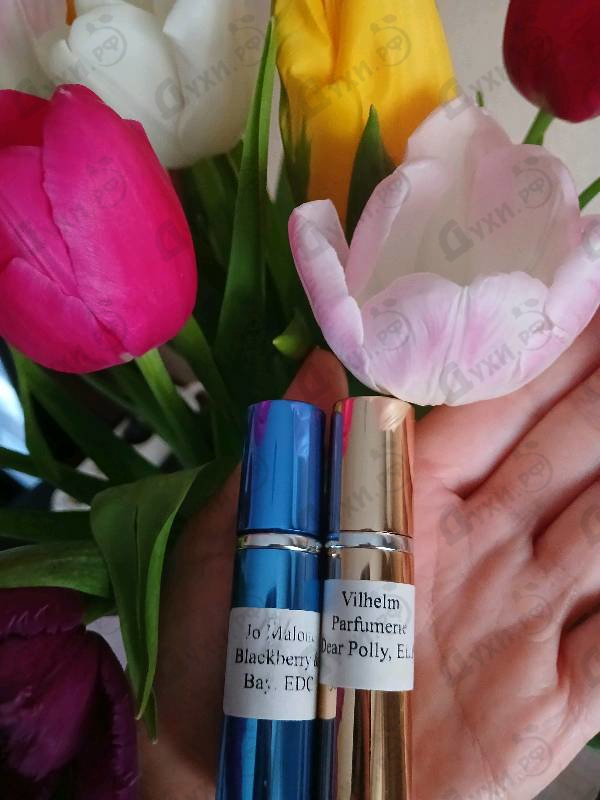 Духи Dear Polly от Vilhelm Parfumerie