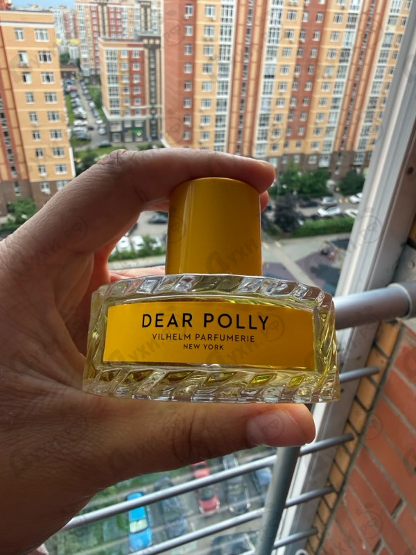 Купить Dear Polly от Vilhelm Parfumerie