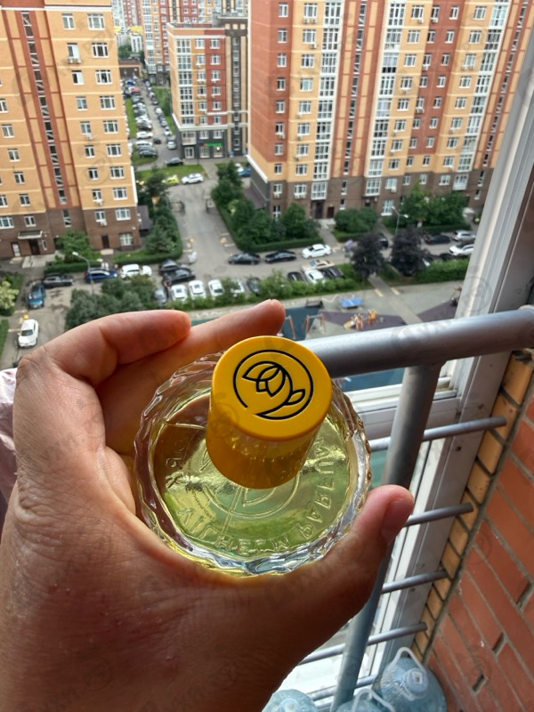 Парфюмерия Vilhelm Parfumerie Dear Polly