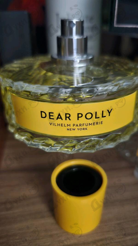 Купить Dear Polly от Vilhelm Parfumerie