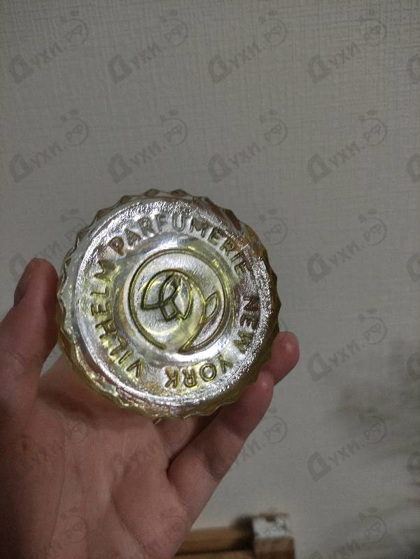 Парфюмерия Dear Polly от Vilhelm Parfumerie