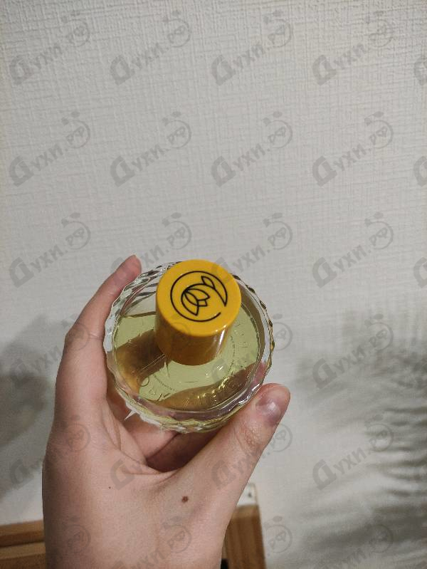 Парфюмерия Dear Polly от Vilhelm Parfumerie