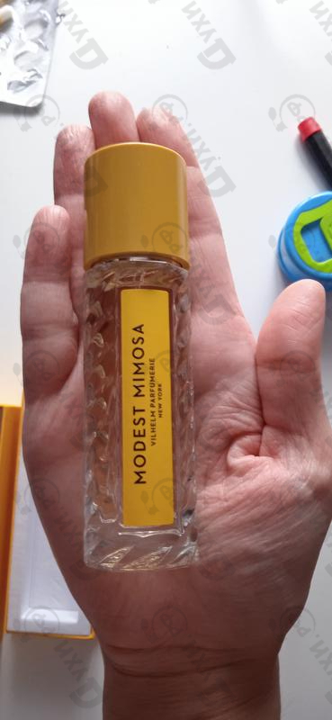 Отзыв Vilhelm Parfumerie Modest Mimosa Парфюмерия Modest Mimosa от Vilhelm Parfumerie