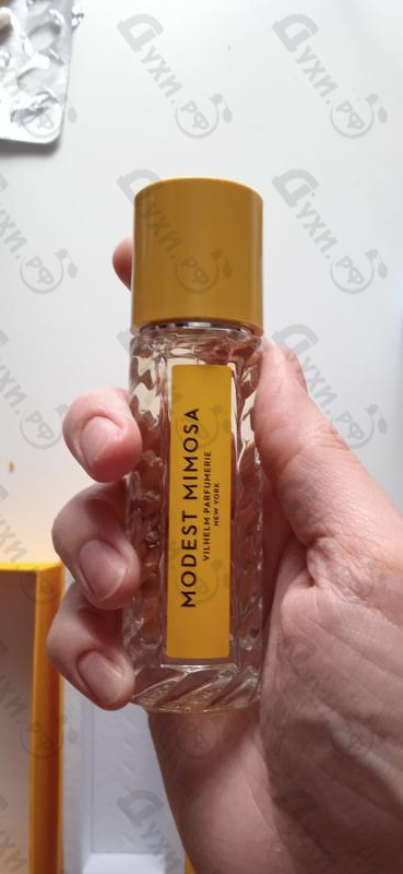 Духи Modest Mimosa от Vilhelm Parfumerie