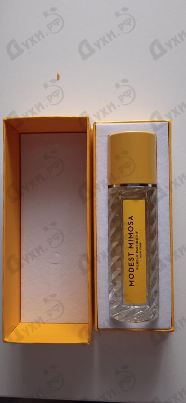 Купить Modest Mimosa от Vilhelm Parfumerie