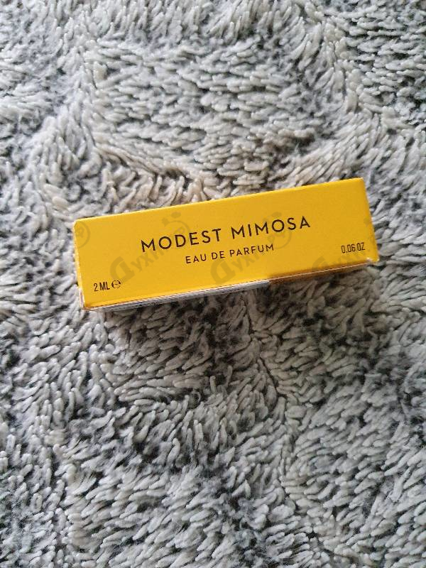 Отзыв Vilhelm Parfumerie Modest Mimosa Духи Modest Mimosa от Vilhelm Parfumerie
