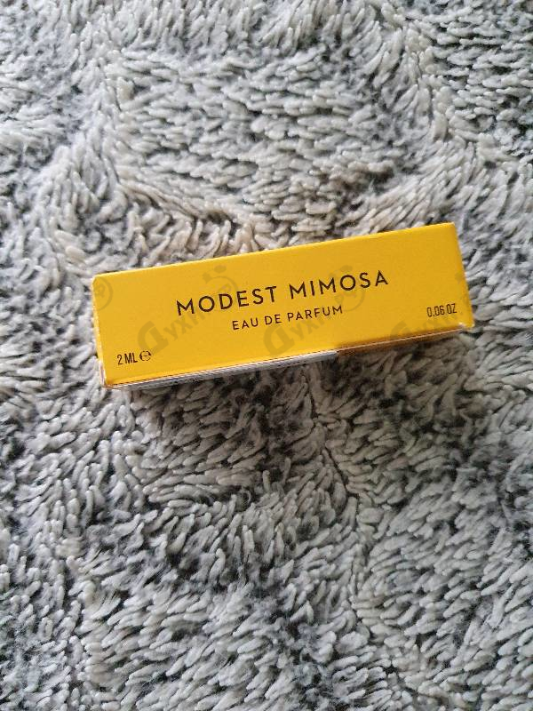 Духи Modest Mimosa от Vilhelm Parfumerie