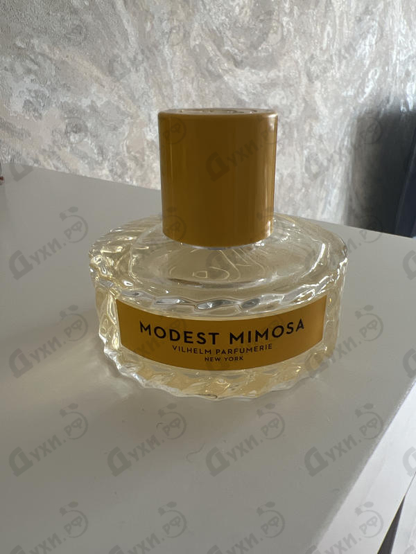 Купить Modest Mimosa от Vilhelm Parfumerie Отзывы Vilhelm Parfumerie Modest Mimosa
