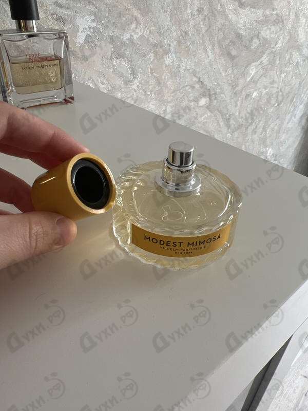 Купить Modest Mimosa от Vilhelm Parfumerie