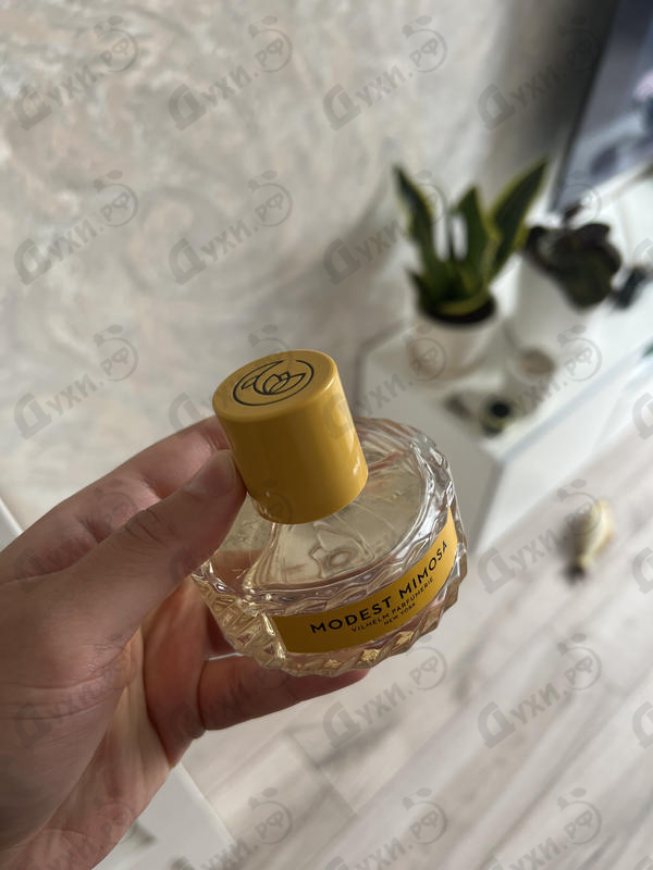 Парфюмерия Modest Mimosa от Vilhelm Parfumerie