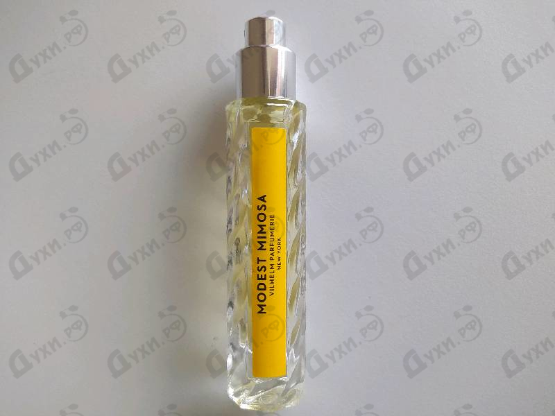 Парфюмерия Modest Mimosa от Vilhelm Parfumerie Отзывы Vilhelm Parfumerie Modest Mimosa