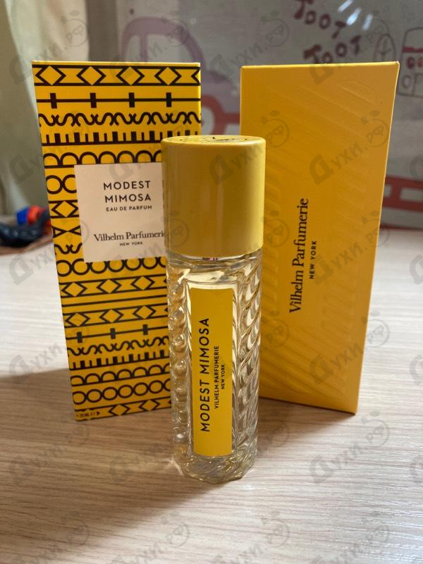 Купить Modest Mimosa от Vilhelm Parfumerie