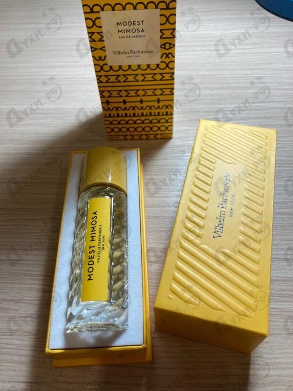 Купить Modest Mimosa от Vilhelm Parfumerie