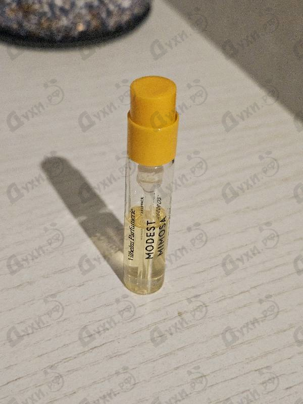 Купить Modest Mimosa от Vilhelm Parfumerie